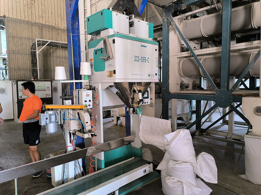 Máy Đóng Gói Gạo Bằng Tay Tự Động Ewinall DCS-50FB-C 5kg 10kg 15kg 25kg