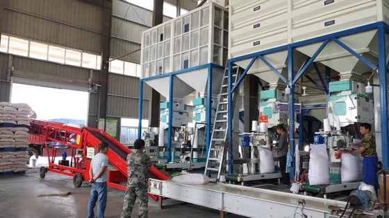 Máy đóng gói hạt tốc độ cao chính xác cao Nâng tự động 5-50kg