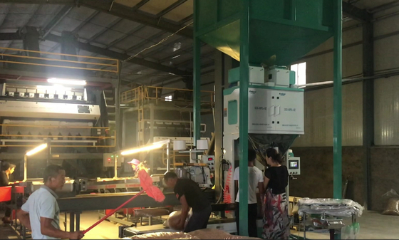 Máy đóng gói Đóng gói định lượng nguyên liệu dạng hạt gạo, hạt giống, thức ăn chăn nuôi và các loại nguyên liệu khác