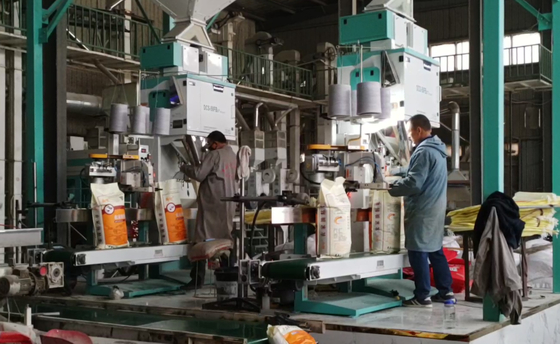 Máy đóng gói ngũ cốc chính xác có trọng lượng cao DCS-50FB3+ Đóng gói nhanh 5 - 50kg